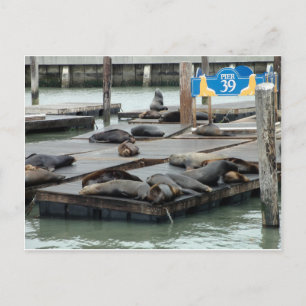pier 39 briefkaart