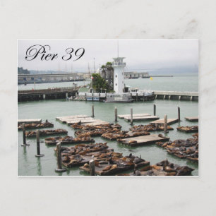 pier 39 briefkaart