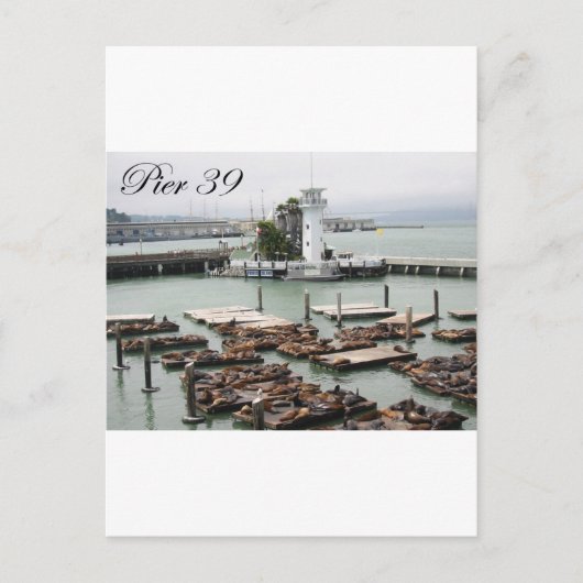 pier 39 briefkaart (Voorkant)