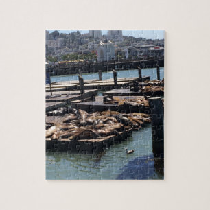 Pier 39 San Francisco California Legpuzzel