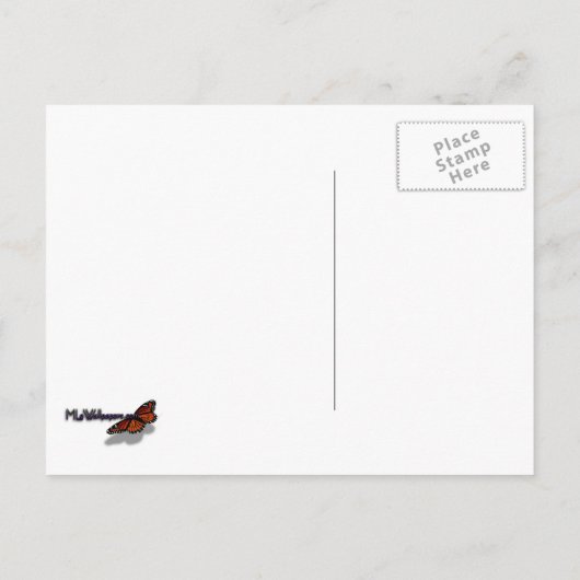 Pier 39 Zee leeuwen Briefkaart (Achterkant)