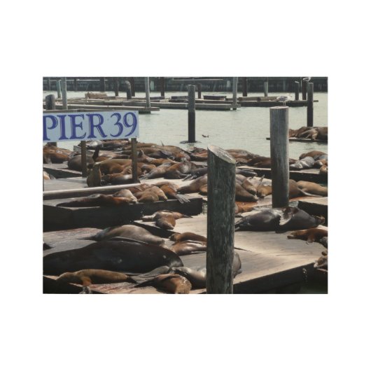 Pier 39 Zee leeuwen Houten Poster (Voorkant)