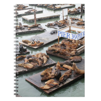Pier 39 Zee leeuwen in San Francisco Notitieboek