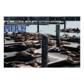 Pier 39 Zee leeuwen Perfect Poster (Voorkant)