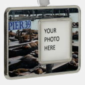 Pier 39 Zee leeuwen Verzilverd Kader Ornament (Rechts)