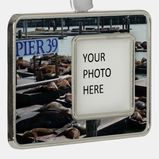 Pier 39 Zee leeuwen Verzilverd Kader Ornament (Rechts)