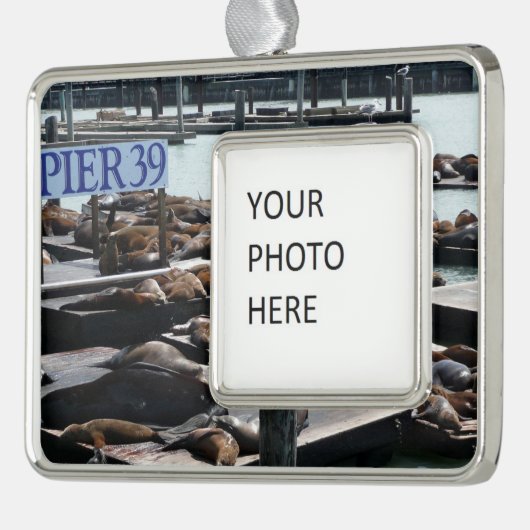 Pier 39 Zee leeuwen Verzilverd Kader Ornament (Links)