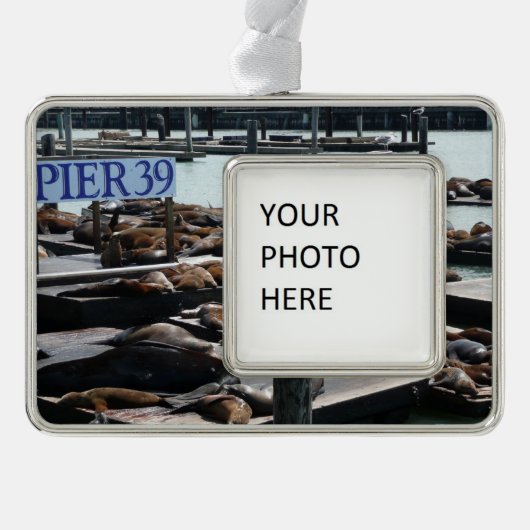 Pier 39 Zee leeuwen Verzilverd Kader Ornament (Voorkant)