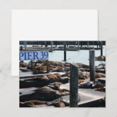 Pier 39 Zeeleeuwen (Voorkant / Achterkant)