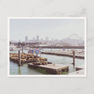 Pier 39 Zeeleeuwen & Reuzenrad San Francisco Briefkaart