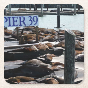 Pier 39 Zeeleeuwen Vierkante Kartonnen Onderzetter