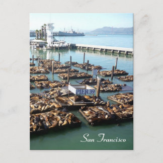 pier 39 zegels briefkaart
