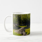 Pierre De La Mug De Café De Madison River (Gauche)