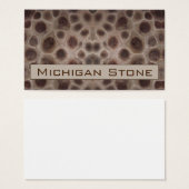 Pierre de Petoskey (Devant & derrière)