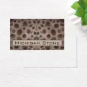 Pierre de Petoskey (Bureau)