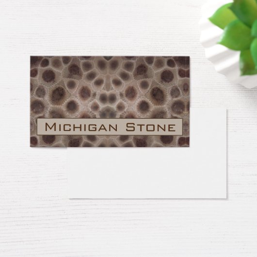 Pierre de Petoskey (Bureau)