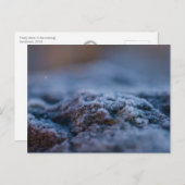 Pierre gelée dans la soirée Carte postale CC0298 (Devant / Derrière)