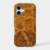 Pierre gemme naturelle de corail fossilisée de