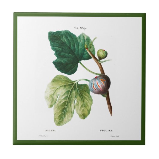 PIERRE-JOSEPH REDOUTÉ "FIGS" CERAMIC TEGEL TEGELTJE (Voorkant)