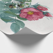 Pierre-Joseph Redouté Kamtschatka Roos Cadeaupapier (Hoek)