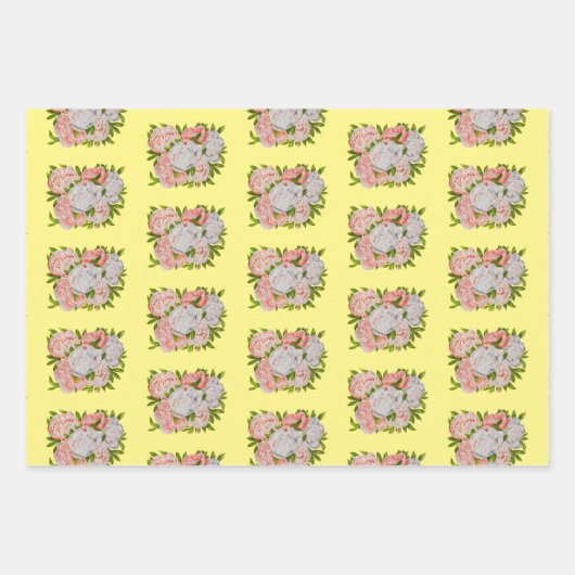 Pies assorées sur un ensemble de papier d'envelopp (Devant 2)