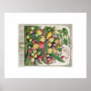 Pieter Casteels, twaalf maanden fruit, juli Poster