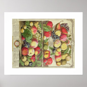 Pieter Casteels, twaalf maanden fruit september Poster