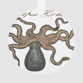 Pieuvre Kraken Antique Faune Marine Côtière (dos)