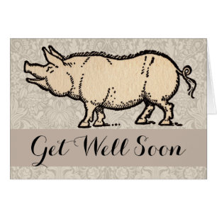 Pig Antiek Piggy Schattige Illustratie