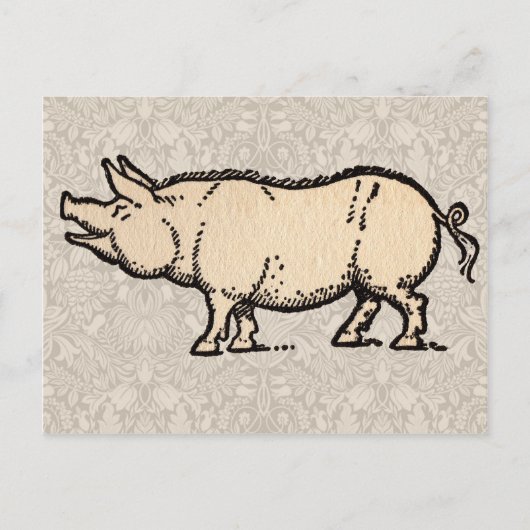 Pig Antiek Piggy Schattige Illustratie Briefkaart (Voorkant)