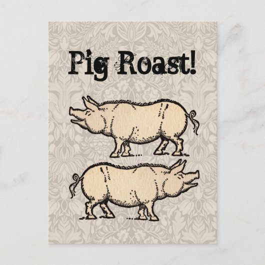 Pig Antiek Piggy Schattige Illustratie Briefkaart (Voorkant)