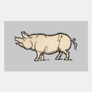 Pig Antiek Piggy Schattige Illustratie Rechthoekige Sticker