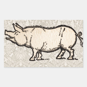 Pig Antiek Piggy Schattige Illustratie Rechthoekige Sticker