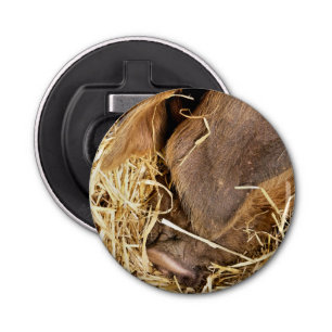 PIG BUTTON FLESOPENER