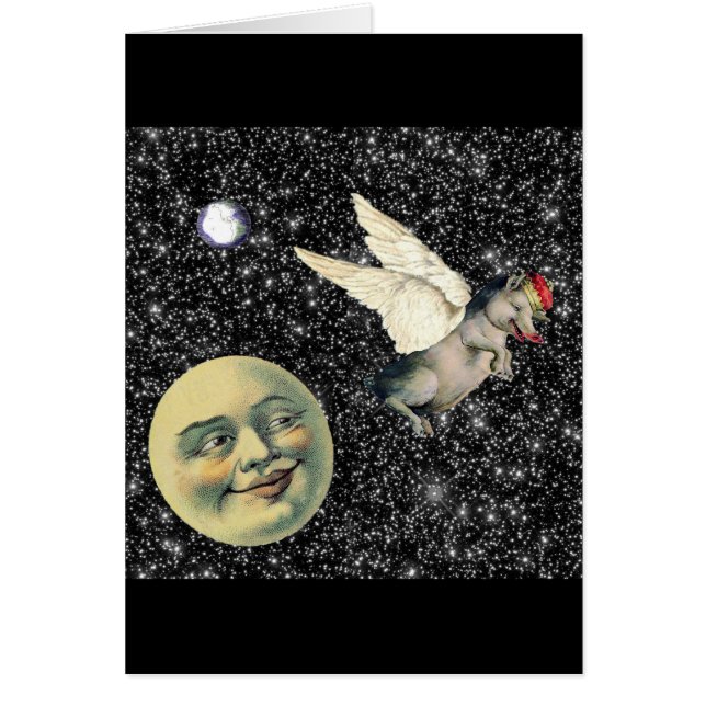 Pig Dreams (Voorkant)