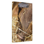 PIG KLEMBORD (Rechts)