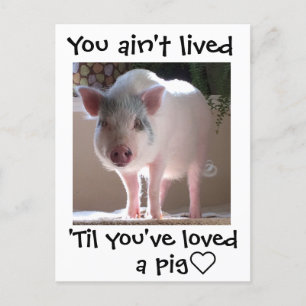Pig lovin' briefkaart