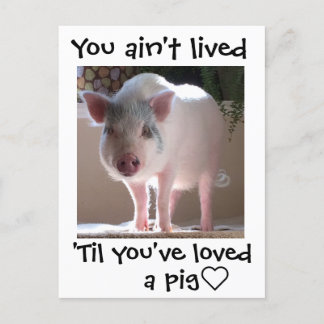 Pig lovin' briefkaart