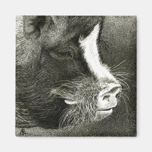 Pig Magnet - "Homer" Magneet