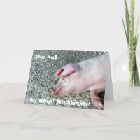 Pig out Kaart