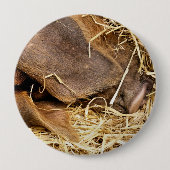 PIG RONDE BUTTON 4,0 CM (Voorkant)