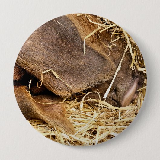 PIG RONDE BUTTON 4,0 CM (Voorkant)