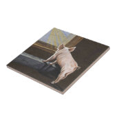 Pig Shadow Tegeltje (Zijkant)