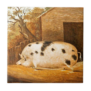 Pig Spotted Hog  Boerderij schilderen Tegeltje