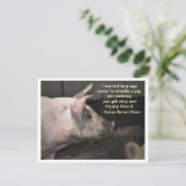 Pig Wisdom - worstelaar Briefkaart (Staand voorkant)