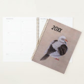 Pigeon (Devant avec enveloppe)