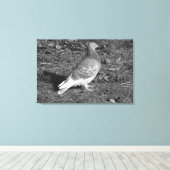 Pigeon at Roath Park Lake Cardiff (BW) Canvas Afdruk (Insitu (Houten vloer))