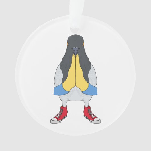 Pigeon avec chaussures (devant)