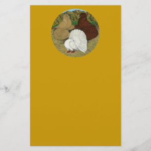 Pigeon Combo Briefpapier