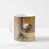 Pigeon dans sa tasse de cuvette de nid (Devant gauche)